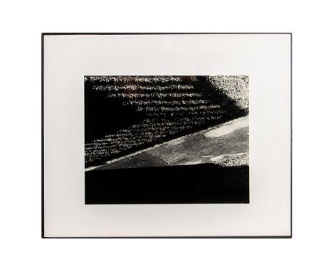 Black &amp; white photograph by Liria Barbosa of an abstracted interplay of shadows and light on grass that form geometric sh