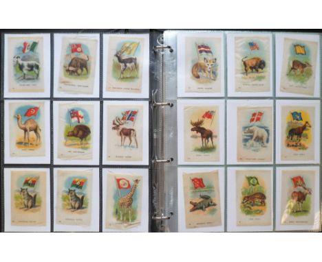 Tobacco silks, ITC (Canada), Animal with Flag (35/55), Garden Flowers (name on one line, 37/55) &amp; Phillips Miniature Rugs