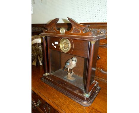 A unusual mantle clock in mahogany case incorporating a taxidermy jay 