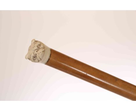 A MALACCA WALKING STICK WITH IVORY "PUG DOG" HANDLE, late 19th/early 20th Century. 89.5cm