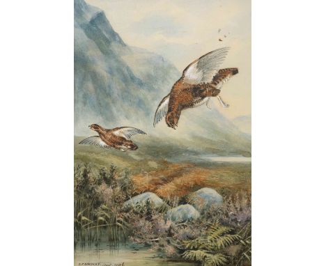 D*** F*** HINDLEY, "THE FIRST TO THE BAG", signed and dated Aug 1906 lower left, watercolour, framed. 29.5cm by 20cm