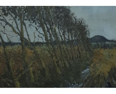 R T KILLEN - OIL ON CANVAS - THORN TREES, SLEMISH