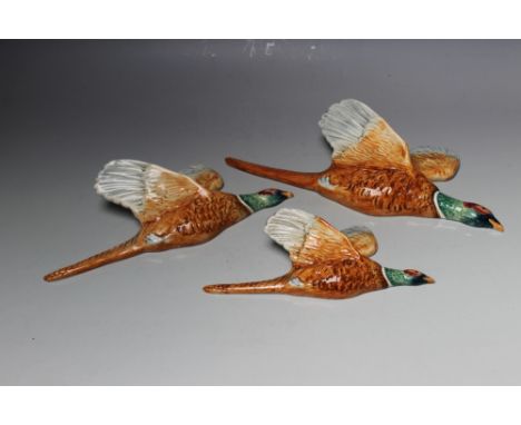 A BESWICK SET OF THREE WALL HANGING PHEASANT PLAQUES,  model no. 661-1, 2 and 3, A/F, W 30.5 cmCondition Report:one has chipp