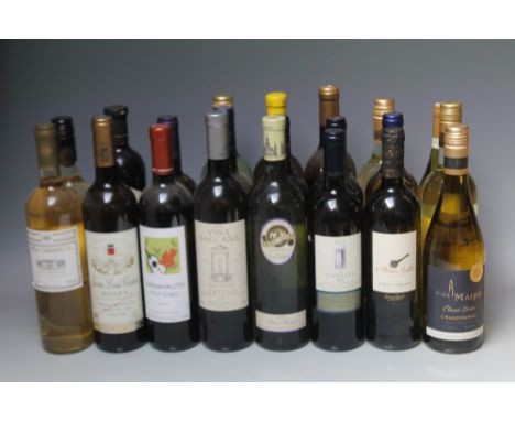 TWENTY ONE BOTTLES OF ASSORTED WHITE WINE TO INCLUDE ONE BOTTLE OF JUAN LUIS CANAS RIOJA 2007 (21)