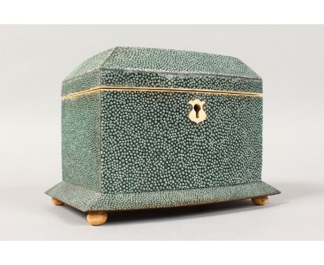 A GREY SHAGREEN BOWFRONTED TWO DIVISION TEA CADDY on bun feet.  6ins wide.