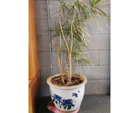 A large ceramic garden planter. H. 40 D. 49cms