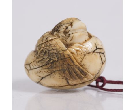 A Japanese ivory netsuke of a Tengu early 20th Century hatching from its egg