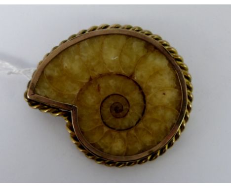 Plated fossil ammonite brooch