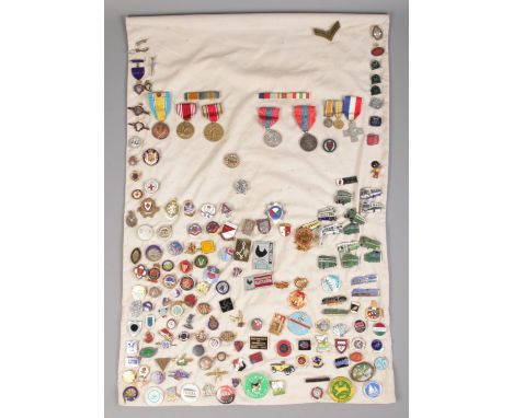 A good quantity of badges and medals. Includes enamel examples, transport, Imperial Service medals, miniatures etc.  