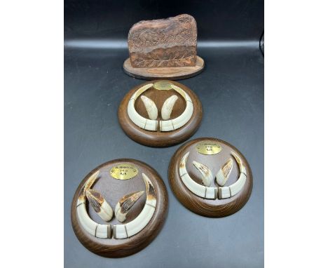 A selection of hunting trophy's 