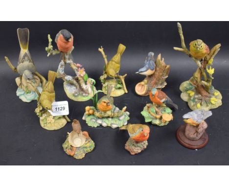 A Border Fine Arts Robin;  others, Chaffinch, etc;  a Taviotdale Bullfinch;  another, Yellow Hammer;  other bird models (11)