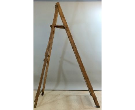 A vintage painters ladder with a pot step 190cm high