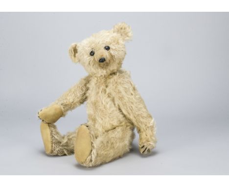 An extremely rare white Steiff 35PB rod joint bear 1904,  With shaggy white mohair, black boot button eyes, pronounced muzzle