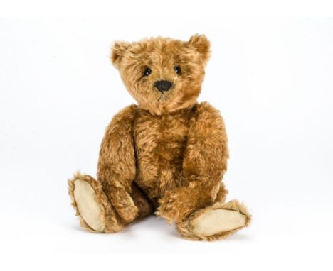 A fine and early Steiff cinnamon centre-seam teddy bear 1908,  With black boot button eyes, pronounced clipped muzzle, black 