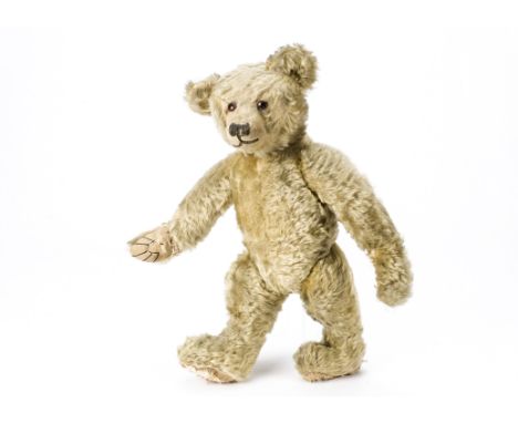 An early Farnell teddy bear 1920s,  With light golden mohair, orange and black glass eyes, pronounced muzzle, black stitched 