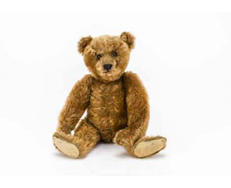 An early Steiff cinnamon mohair teddy bear circa 1909,  With black boot button eyes, pronounced clipped muzzle, black stitche