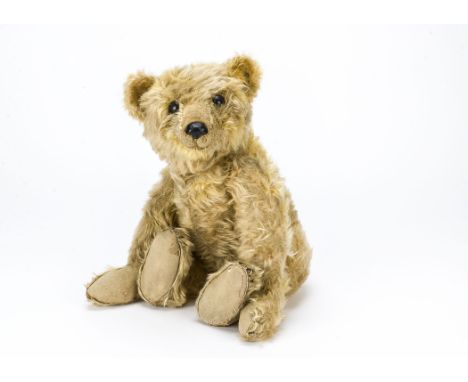 A very rare Steiff 35PB rod jointed bear 1904,  With shaggy golden mohair, black boot button eyes, pronounced part clipped mu