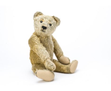 An early German teddy bear with provenance,  With golden mohair, black boot button eyes pronounced muzzle, re-stitched black 