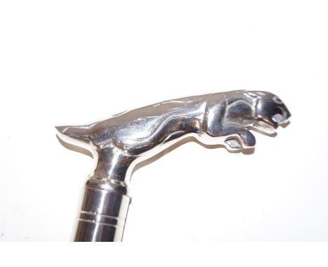 Jaguar handle walking stick 