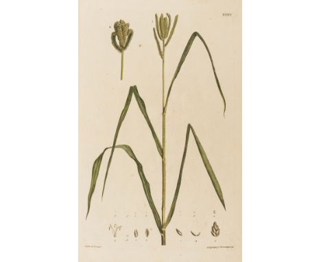 Grasses.- Schreber (Johann Christian Daniel) Beschreibung der Graesser nebst ihren Abbildungen nach der Natur, 2 parts (of 3)