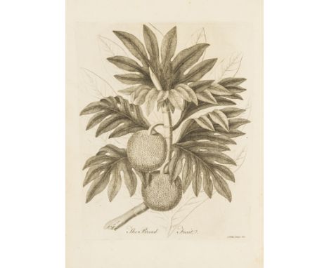 Ellis (John) A Description of the Mangostan and the Bread-Fruit...[with] Directions to Voyagers, for bringing over these and 
