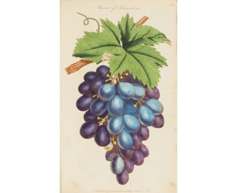 Fruit.- Abercrombie (John) The Hot House Gardener on the General Culture of the Pine-Apple, and Methods of Forcing Early Grap