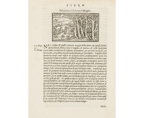 Alonso de Herrera (Gabriel) Agricoltura tratta da diversi antichi et moderni scrittori, collation: (8, A-Z8, Aa-Nn8, Oo4, woo