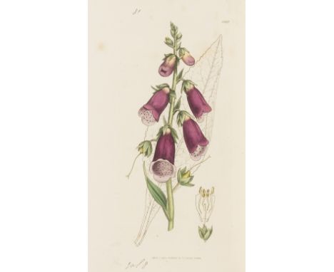 Botany.- Sowerby (James) and James Edward Smith. English Botany; or, Coloured Figures of British Plants, vol.1-22 only (of 36
