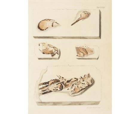 Fossils.- Mantell (Gideon) The Fossils of the South Downs; or, illustrations of the Geology of Sussex, first edition, 42 engr