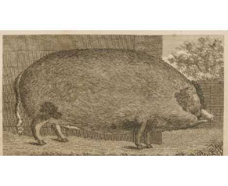Pigs.- Henderson (Robert) Treatise on the Breeding of Swine and Curing of Bacon; With Hints on Agricultural Subjects, first e