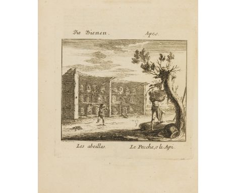 Trades.- Meil (Johann Wilhelm) Spectaculum Naturae & Artium, 2 vol. in 1, first edition, titles in German and French with dec