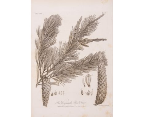 Evelyn (John) Fumifugium: or, the Inconvenience of the Aer, and Smoake of London Dissipated, lacking final advertisement leaf