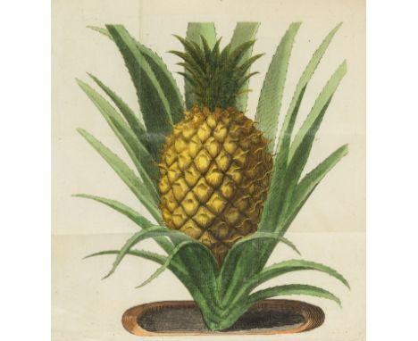 Taylor (Adam) A Treatise on the Ananas or Pine-Apple, Containing plain and easy Directions for Raising this Most Excellent Fr