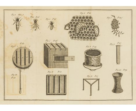 Bees.- Keys (John) The Practical Bee-Master..., first edition, folding engraved plate (offsettting to plate and facing title)