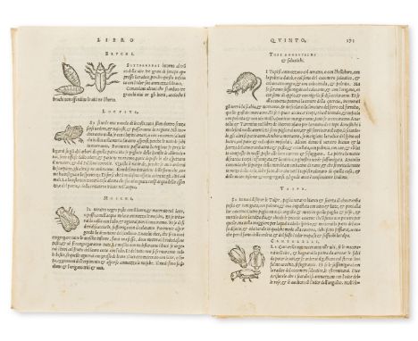 [Sansovino (Francesco)] "Giovanni Tatti". Della Agricoltura, second edition, collation: *4 A-Aaa4, woodcut decoration and dev