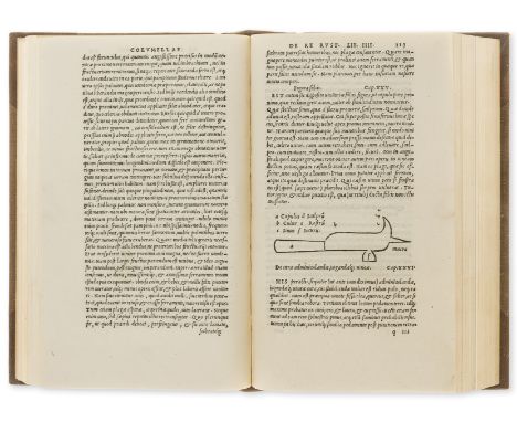 Cato (Marcus Porcius), Marcus Terentius Varro, Junius Moderatus Columella and Rutilius Taurus Palladius. Libri de re Rustica,