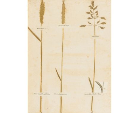 Amos (William) Minutes in Agriculture and Planting...Illustrated with Specimens of Eight Sorts of the Best and Two Sorts of t