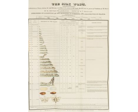 America.- Colman (Henry) First [- Fourth] Report on the Agriculture of Massachusetts, 4 parts in 2 vol., large folding table 