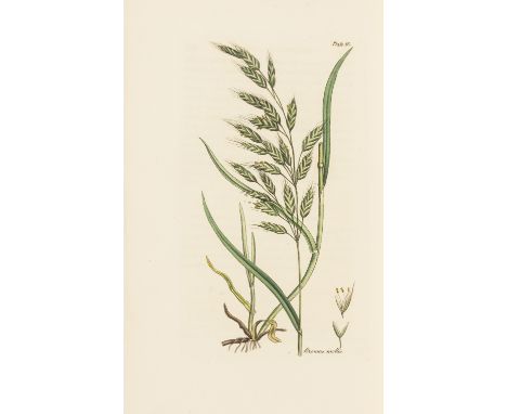 Botany.- Buffon (G.L.M.L., Comte de) Buffon's Natural History Abridged..., 2 vol., engraved frontispiece, titles and plates, 