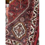 Carpets & Rugs: