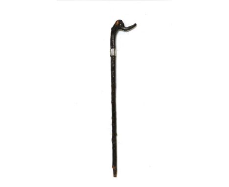 A root carved walking stick, early 20th century, with elephant's head handle, the silver belt presentation collar inscribed w