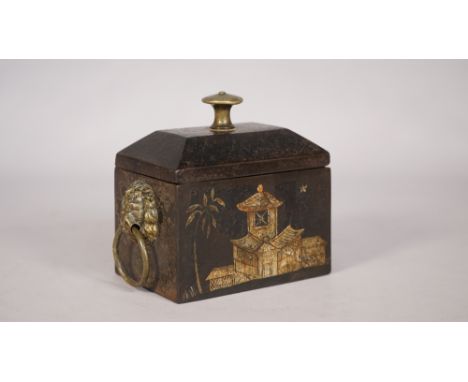 A Regency cast iron tea caddy with chinoiserie decoration and twin brass lion ring handles, 13.5cm wide. 