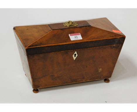 A late George III mahogany tea caddy of sarcophagus form having a twin compartment interior and central mixing bowl on bun fe