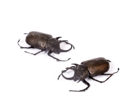 21ST CENTURY SCHOOL two Rhinoceros horned beetles, bronze, each 9cm wide (2)