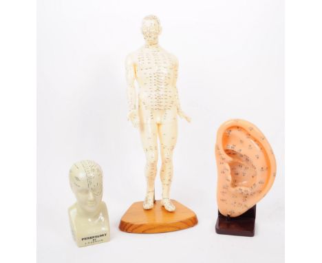 A collection of 20th century anatomical models. The collection to include a ceramic Fowler bust / phrenology head, alongside 