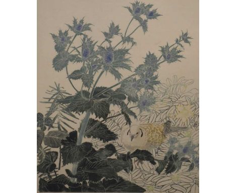 Sheila Robinson, (1925-1988) - Signed silkscreen print - Barbary Dove, signed in pencil lower right, 72cm x 60cm, framed and 