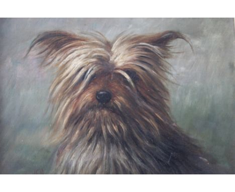 H. CROWTHER. English school, dog portrait study of Yorkshire Terrier', signed and dated 1914 lower left, oil on canvas, frame