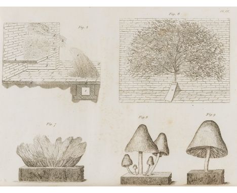 NO RESERVE McWilliam (Robert) An Essay on the Origin and Operation of the Dry Rot ... to which are annexed Suggestions on the