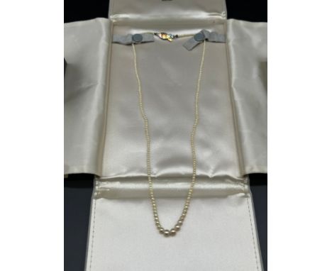 18ct yellow gold and natural pearl necklace- a single row graduating necklace of 239 pearls. comes with paperwork of authenti
