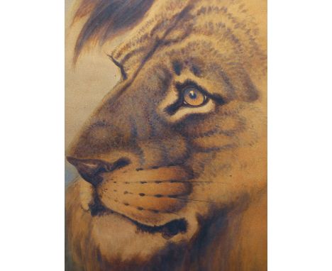LATE 19TH.C. ENGLISH SCHOOL, PORTRAIT OF A LION, WATERCOLOUR. 56x46cms